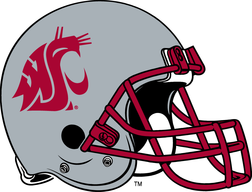 Washington State Cougars 1999-Pres Helmet Logo diy DTF decal sticker